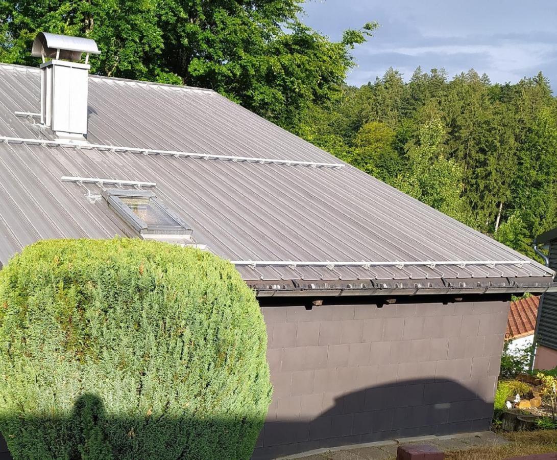 Freyunger Berghaus Villa Exteriör bild